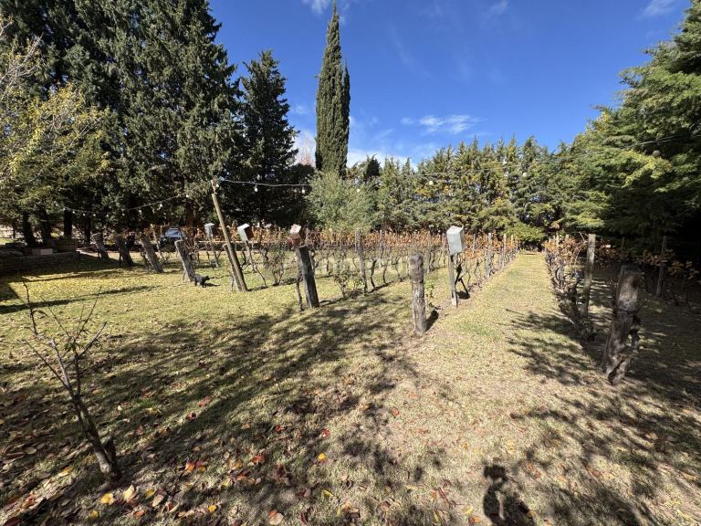 Hotel en Venta en Lujan de Cuyo, Mendoza - USD 355.000 | Inmoup - 14