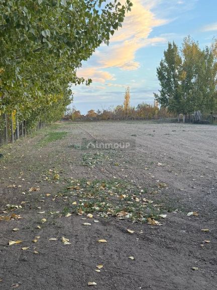 Lujan de Cuyo Cobos al 7200