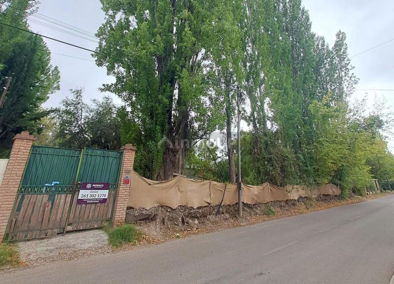 Terreno en Venta en Lujan de Cuyo, Mendoza