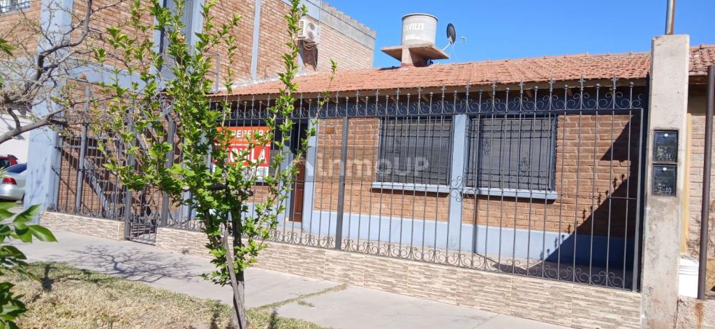 Maipu Calle Cabernet