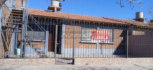 Maipu Calle Cabernet