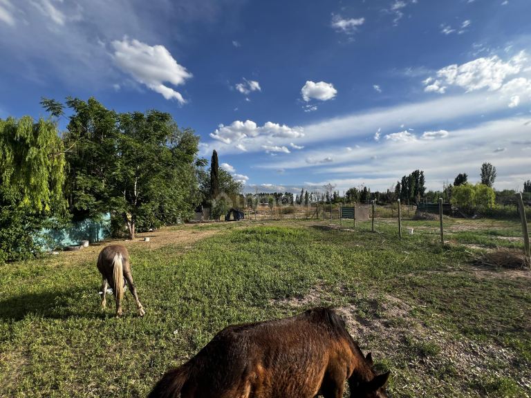 Lote en Venta en Las Heras, Mendoza