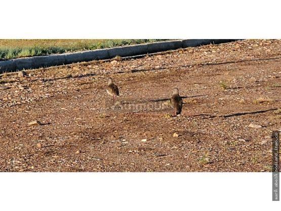 Lote en Venta en Tunuyan, Mendoza