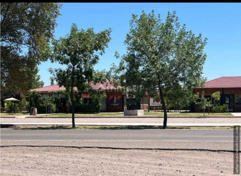 Lote en Venta en Tunuyan, Mendoza