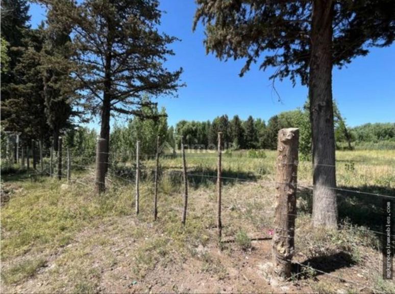 Lote en Venta en Tunuyan, Mendoza