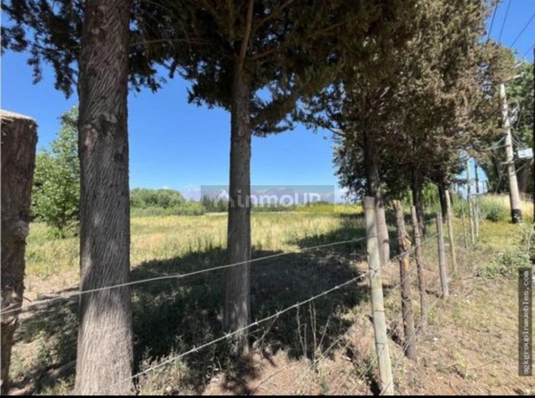 Lote en Venta en Tunuyan, Mendoza