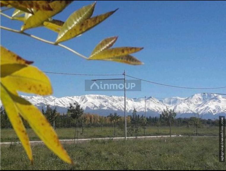 Lote en Venta en Tupungato, Mendoza