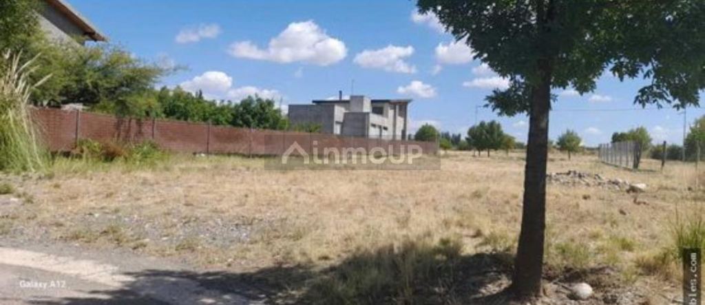 Lote en Venta en Tupungato, Mendoza
