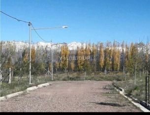 Tupungato El peral