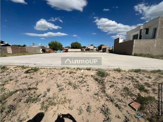 Lote en Venta en San Carlos, Mendoza