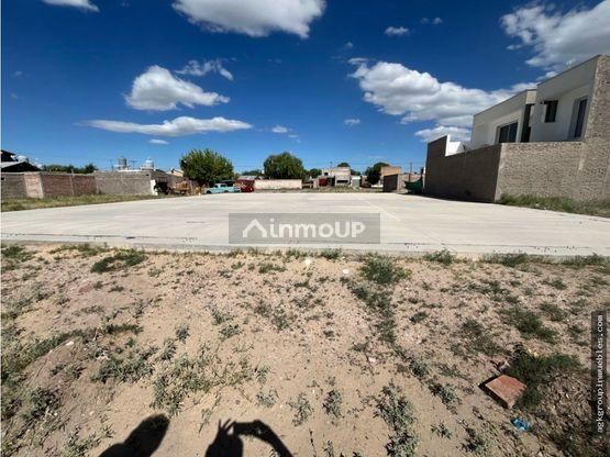 Lote en Venta en San Carlos, Mendoza