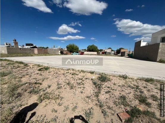Lote en Venta en San Carlos, Mendoza