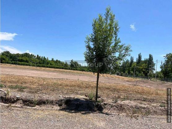 Lote en Venta en Tunuyan, Mendoza