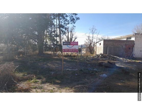 Lote en Venta en San Carlos, Mendoza
