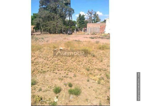 Lote en Venta en San Carlos, Mendoza