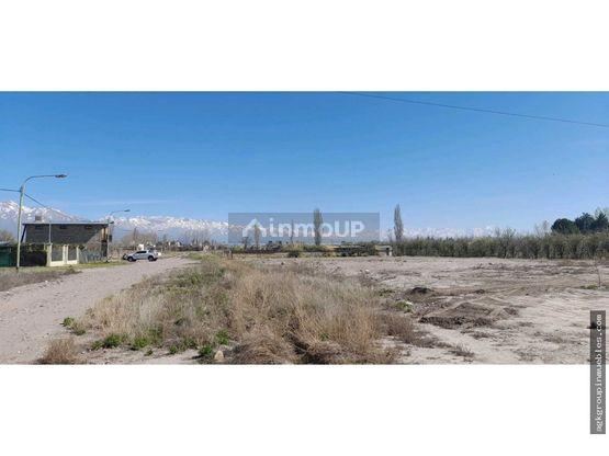 Lote en Venta en San Carlos, Mendoza