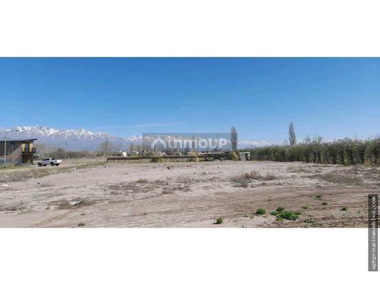Lote en Venta en San Carlos, Mendoza