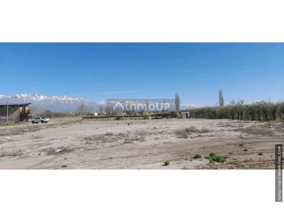 Lote en Venta en San Carlos, Mendoza