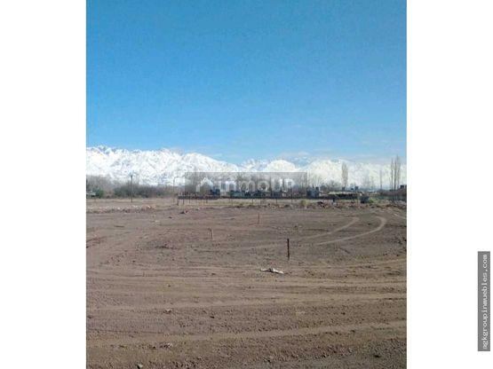 Lote en Venta en San Carlos, Mendoza