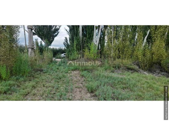 Finca en Venta en Tupungato, Mendoza