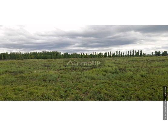 Finca en Venta en Tupungato, Mendoza