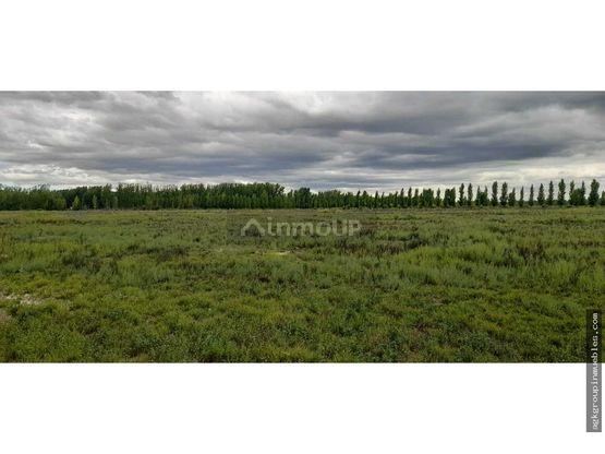 Finca en Venta en Tupungato, Mendoza