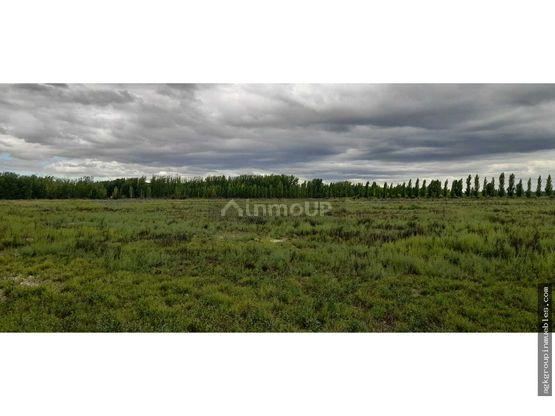 Finca en Venta en Tupungato, Mendoza