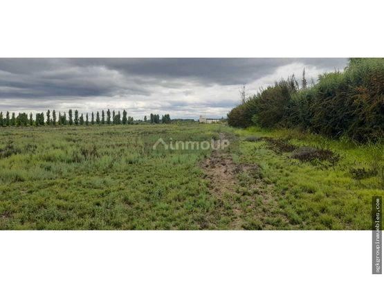 Finca en Venta en Tupungato, Mendoza