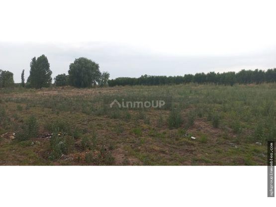 Lote en Venta en Tunuyan, Mendoza