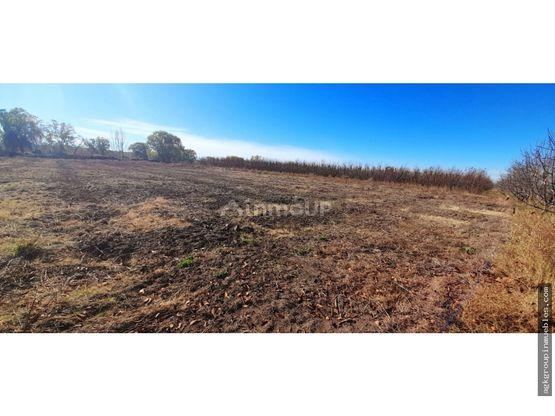 Lote en Venta en Tunuyan, Mendoza
