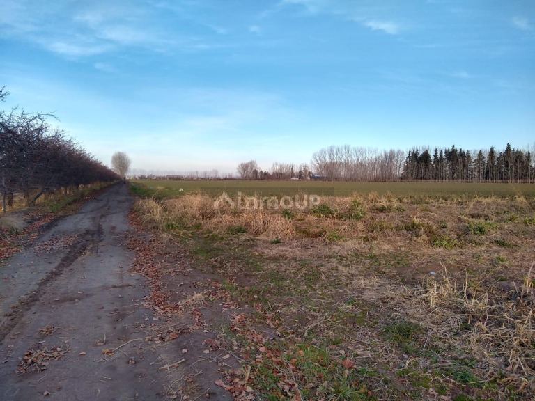 Finca en Venta en Tunuyan, Mendoza