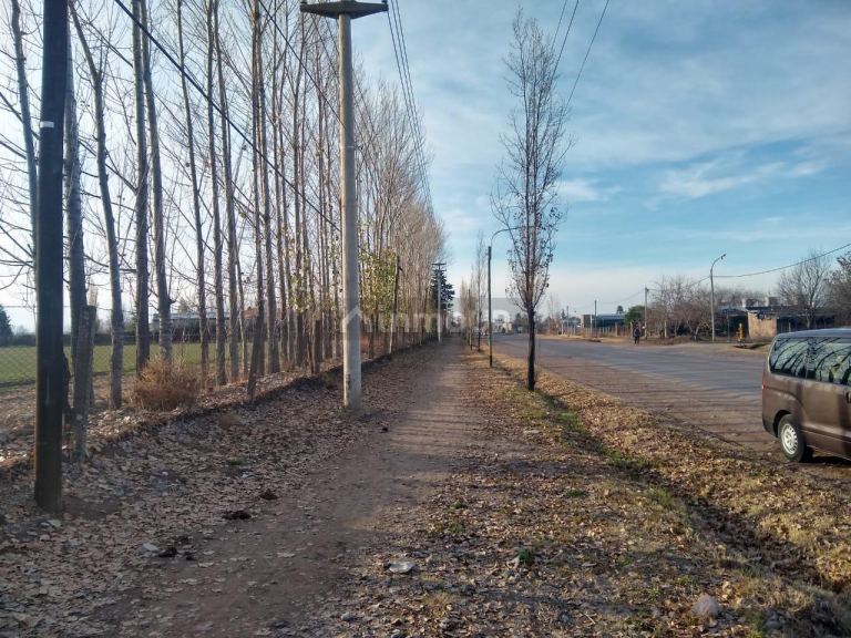 Finca en Venta en Tunuyan, Mendoza