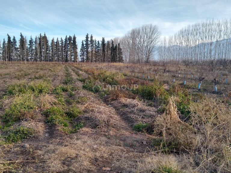 Finca en Venta en Tunuyan, Mendoza
