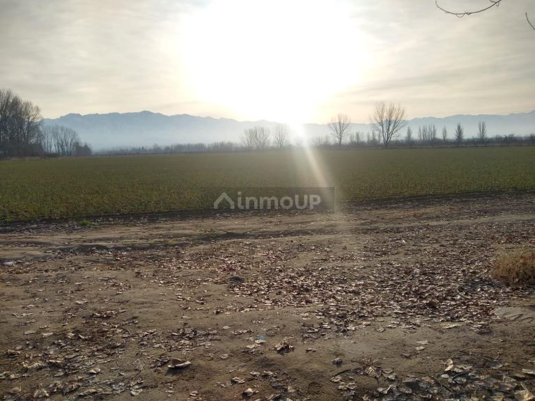 Finca en Venta en Tunuyan, Mendoza