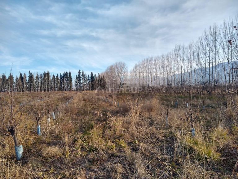 Finca en Venta en Tunuyan, Mendoza