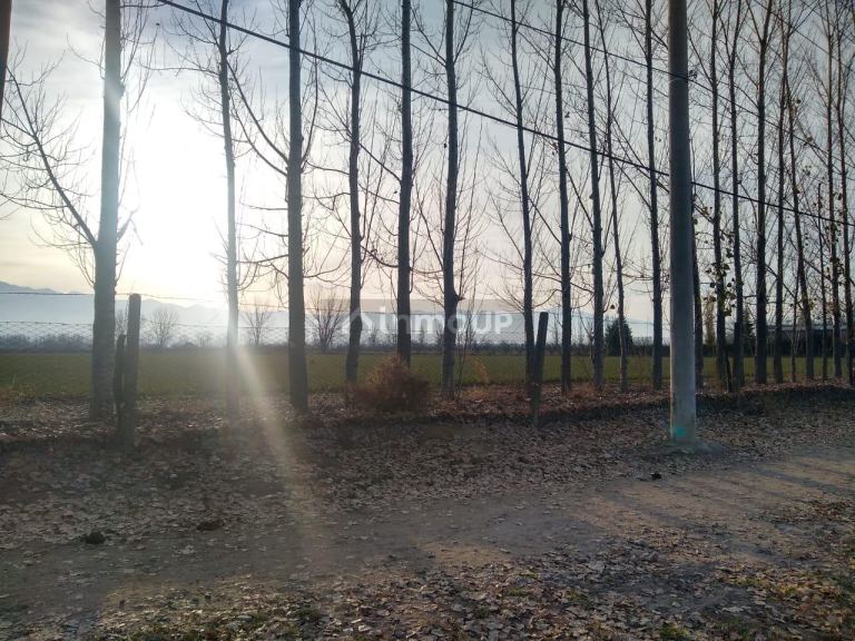 Finca en Venta en Tunuyan, Mendoza