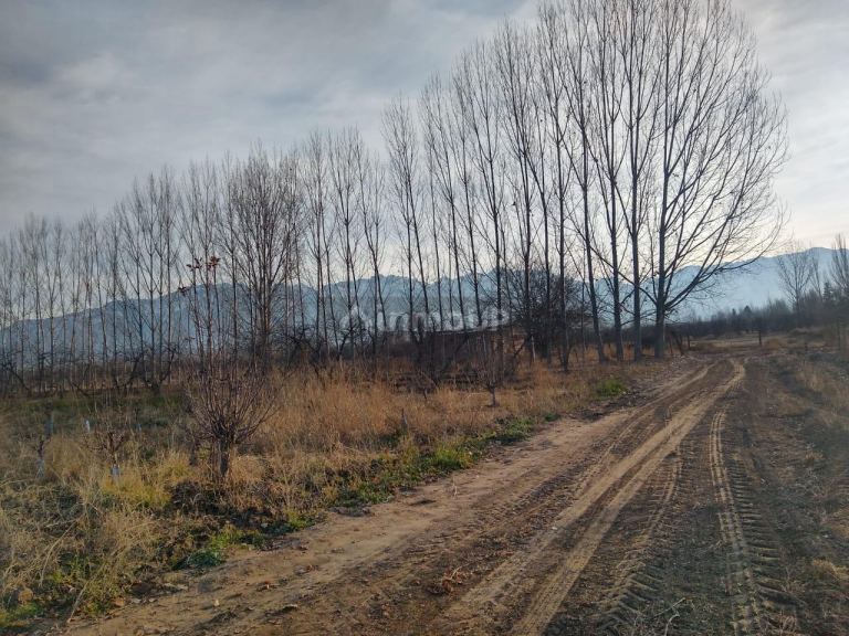 Finca en Venta en Tunuyan, Mendoza