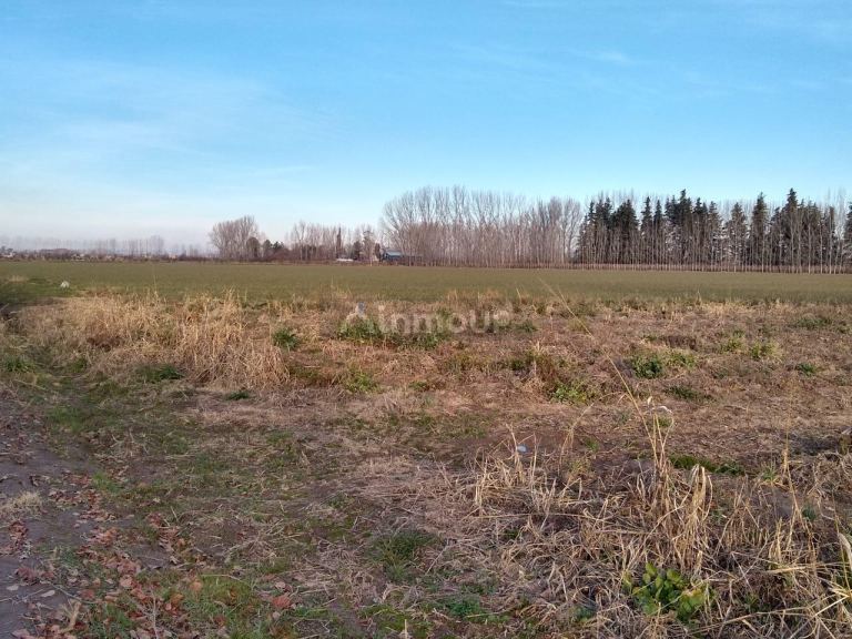 Finca en Venta en Tunuyan, Mendoza