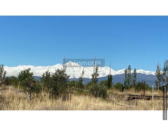 Campo en Venta en Maipu, Mendoza