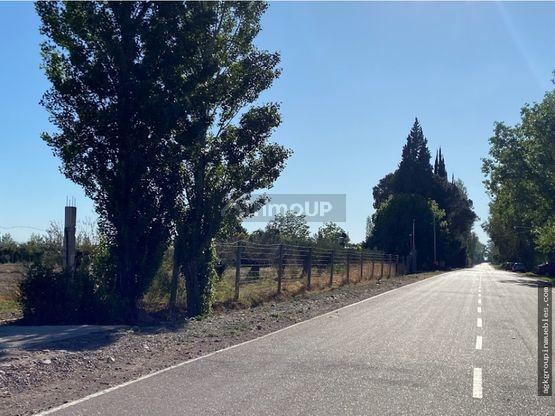 Campo en Venta en Maipu, Mendoza