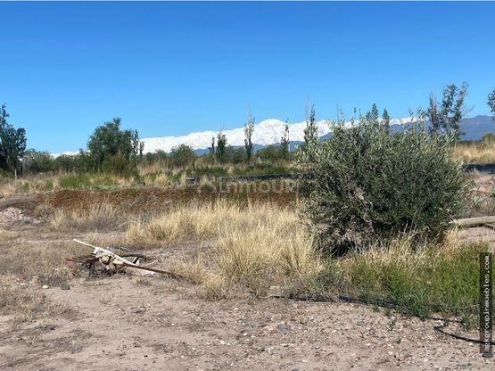 Campo en Venta en Maipu, Mendoza