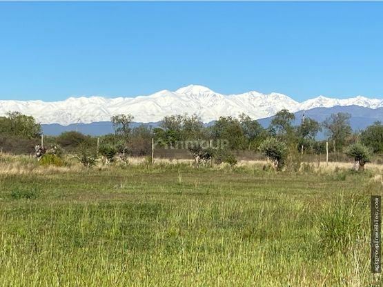 Campo en Venta en Maipu, Mendoza