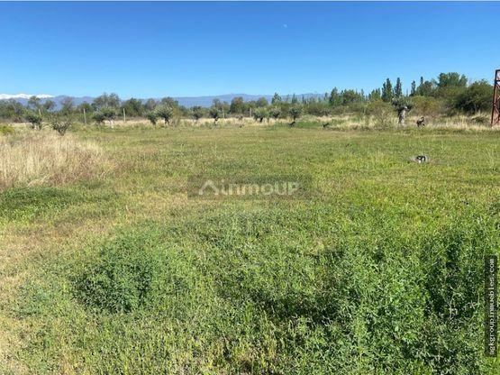 Campo en Venta en Maipu, Mendoza
