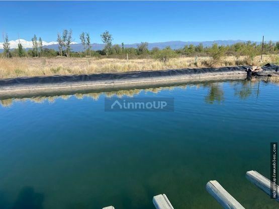 Campo en Venta en Maipu, Mendoza