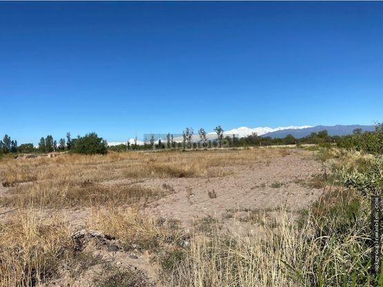 Campo en Venta en Maipu, Mendoza