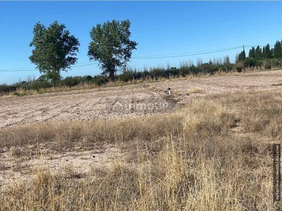 Campo en Venta en Maipu, Mendoza