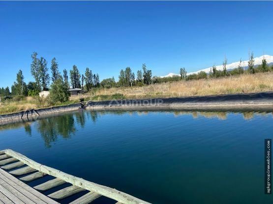 Campo en Venta en Maipu, Mendoza