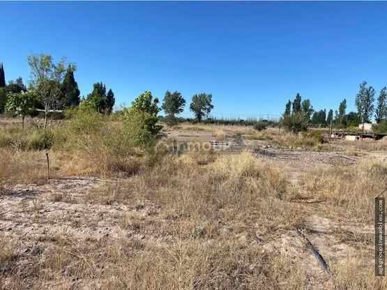 Campo en Venta en Maipu, Mendoza