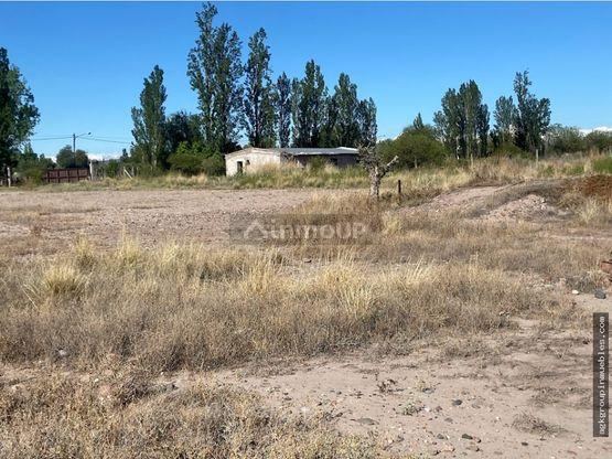 Campo en Venta en Maipu, Mendoza