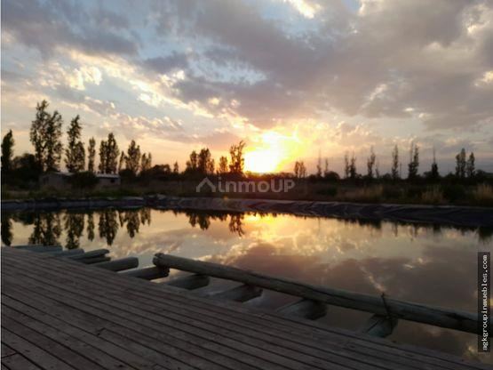 Campo en Venta en Maipu, Mendoza